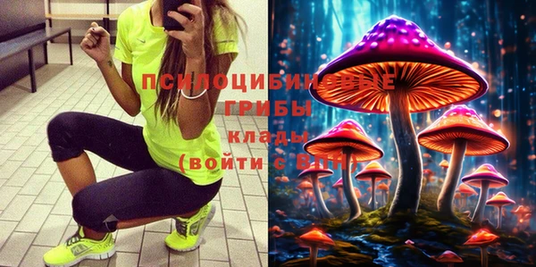 Альфа ПВП Горно-Алтайск