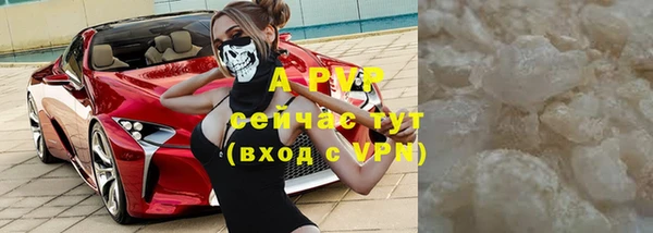 Альфа ПВП Горно-Алтайск